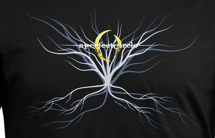 front of shirt, up close