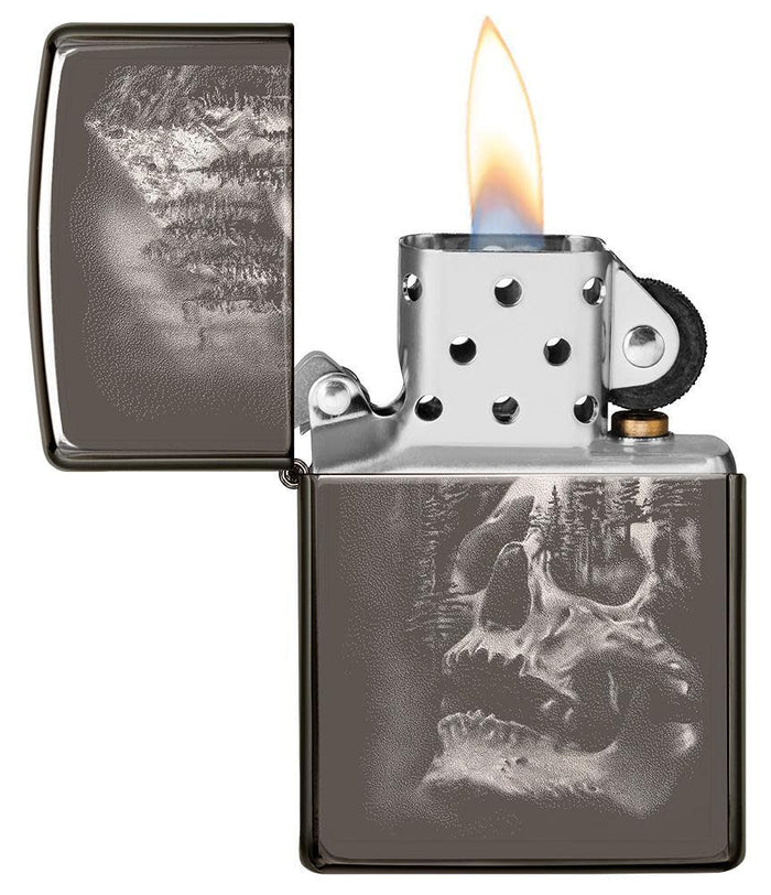 zippo on display