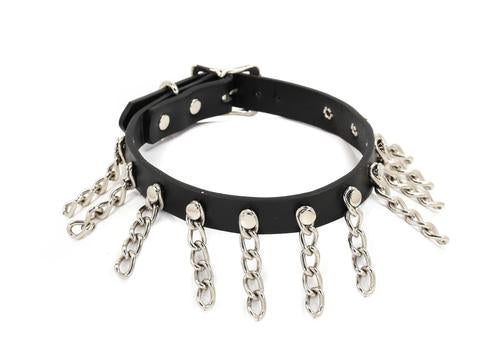 collar on display