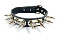 choker on display