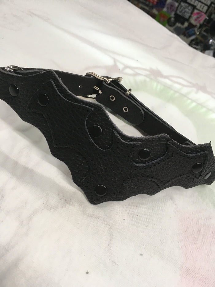 collar on display