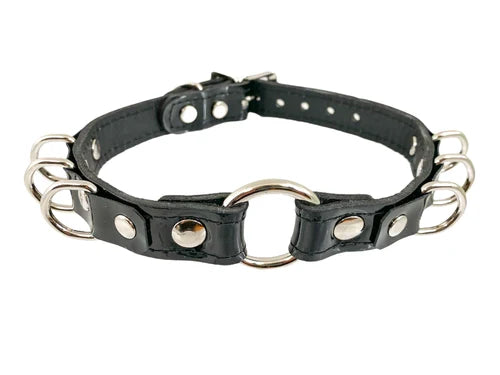 collar on display