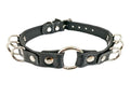 collar on display