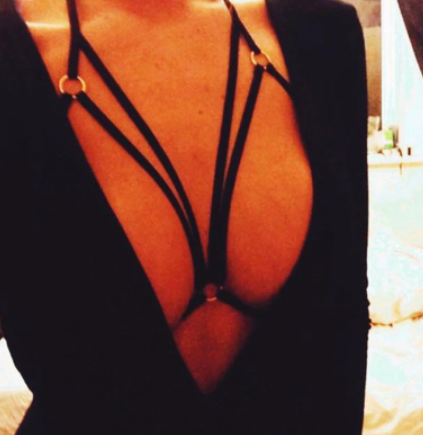 harness on model