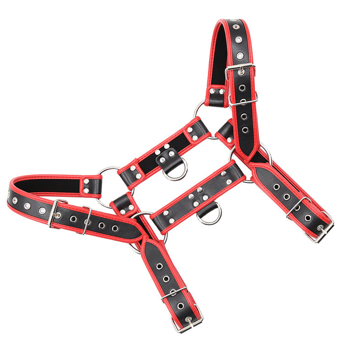 harness on display