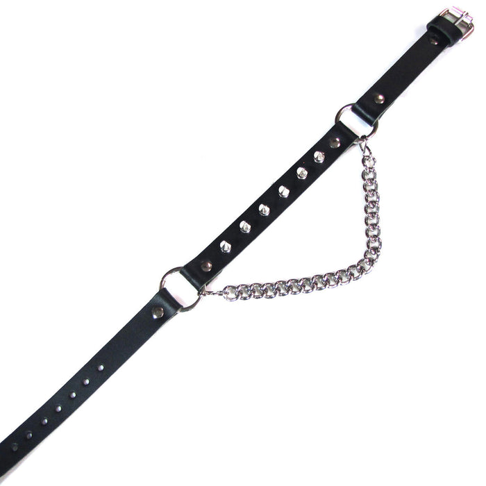 strap on display