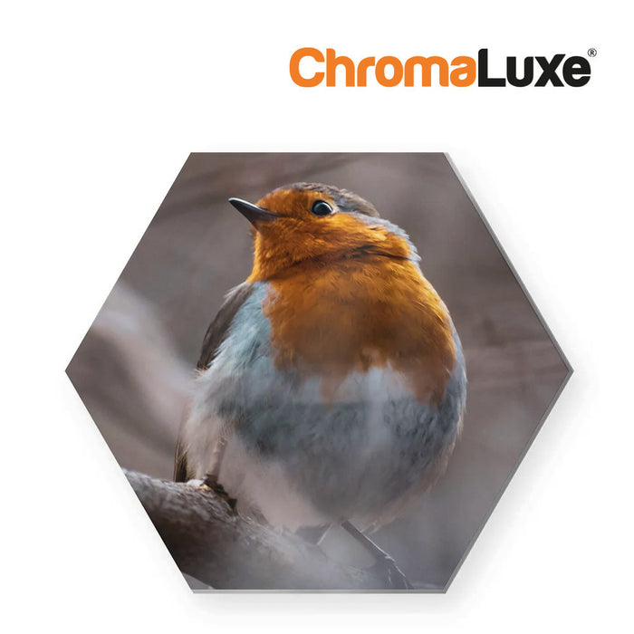 Chromaluxe Sublimation Photo Panel with Kickstand - Hexagon 165.9 x 190.5 x 0.25 mm Bird