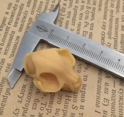 showing earring size