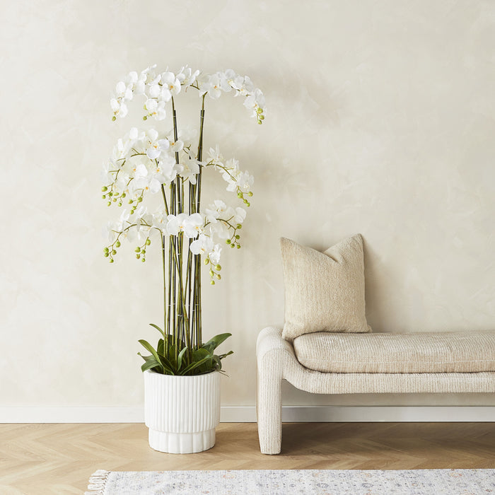 lifestyle_insitu: