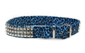 blue belt with silver studs  on white background