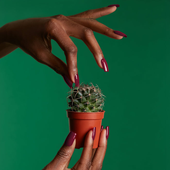 Gel Polish - Queen Of Hearts