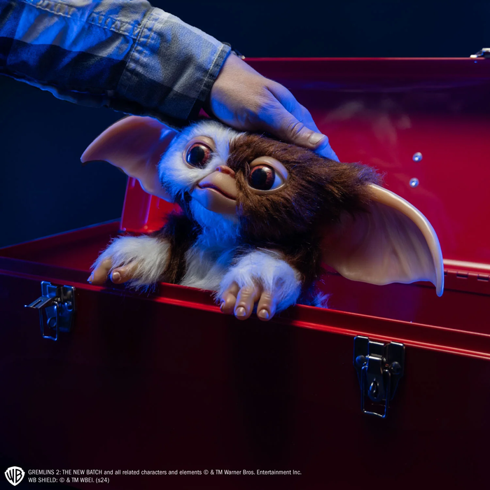 gizmo on display in box