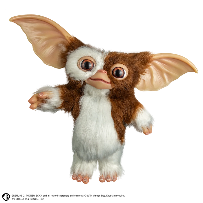 front of gizmo on display