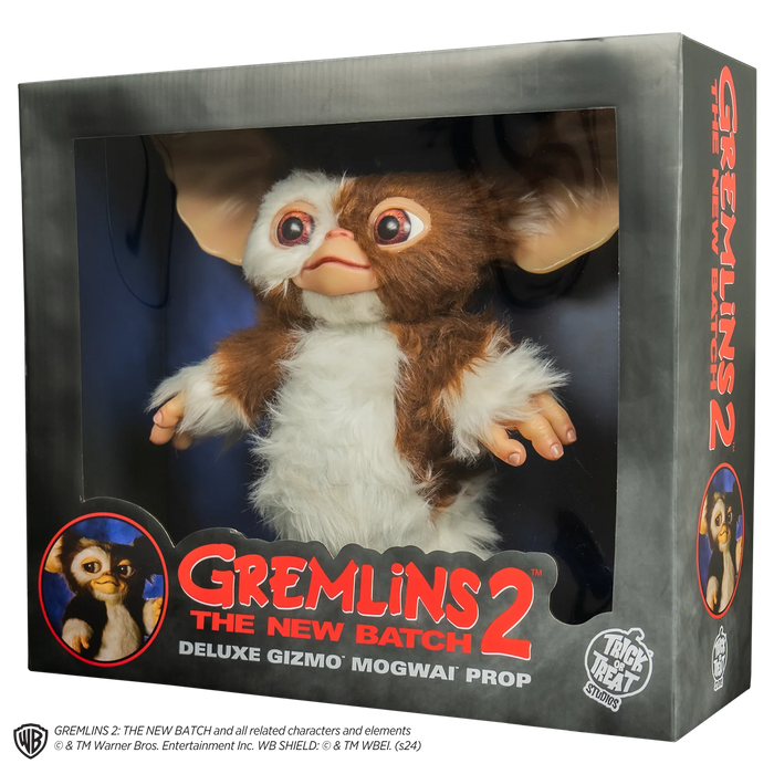 front of gizmo on display