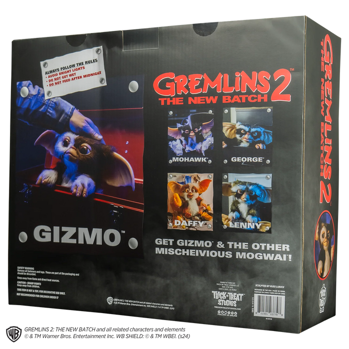 back of gizmo on display