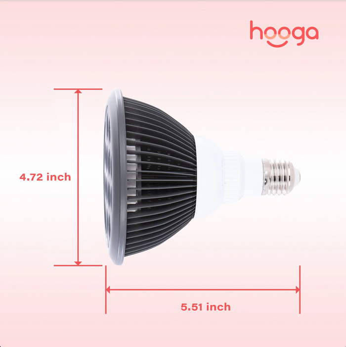 HG24 Red Light Therapy Lamp