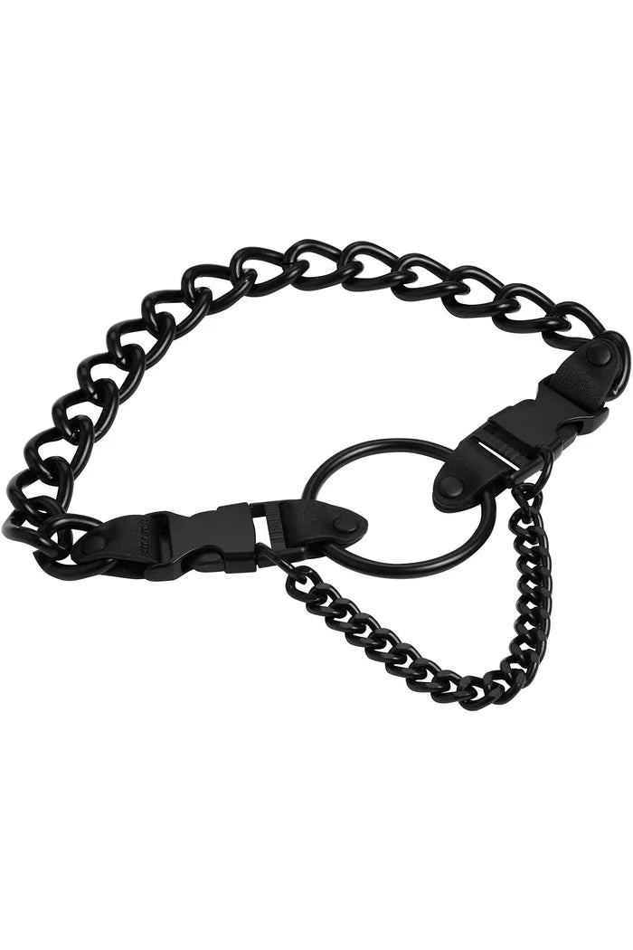 collar on display