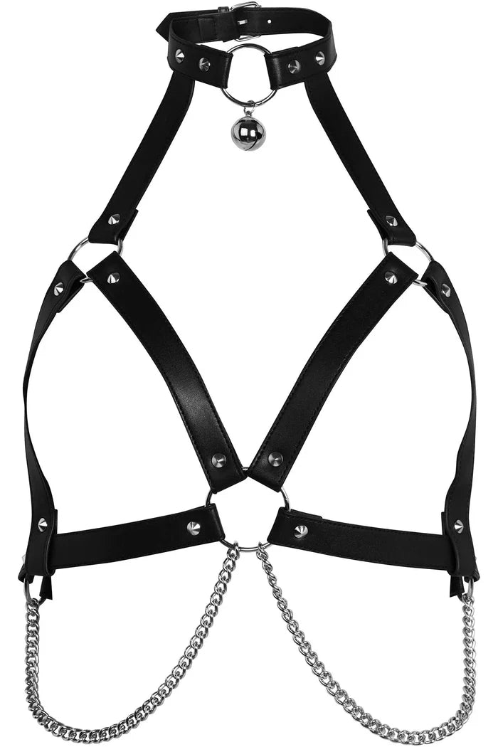 front of harness on display