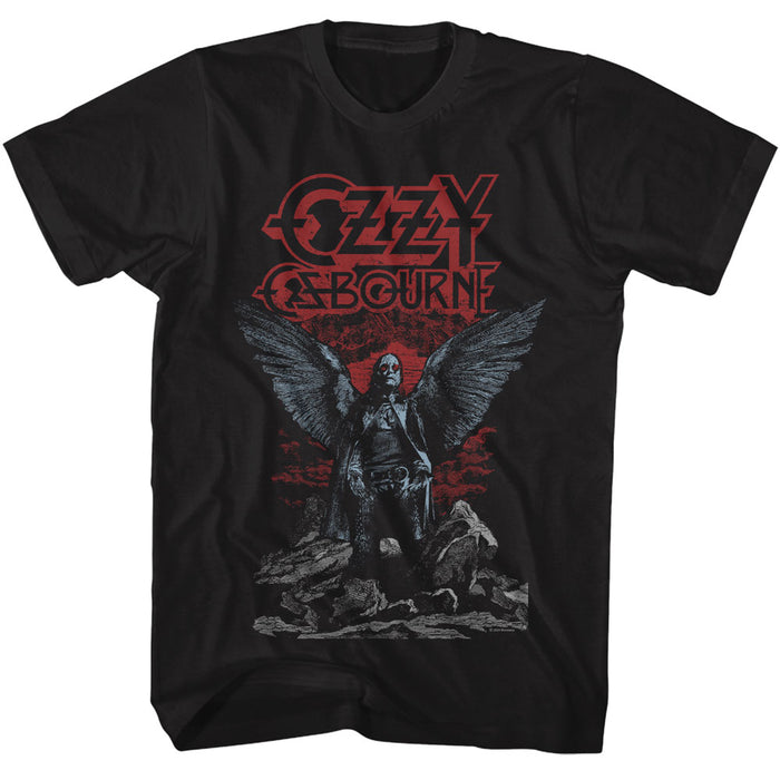 front of shirt on display