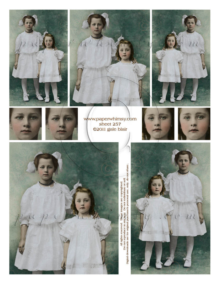 Sheet 257 PRINTED - paperwhimsy
