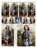 Sheet 262 PRINTED - paperwhimsy