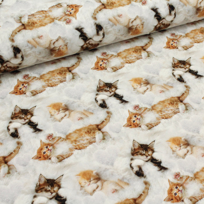 Sleepy Kittens Organic Jersey