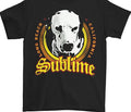 front of shirt