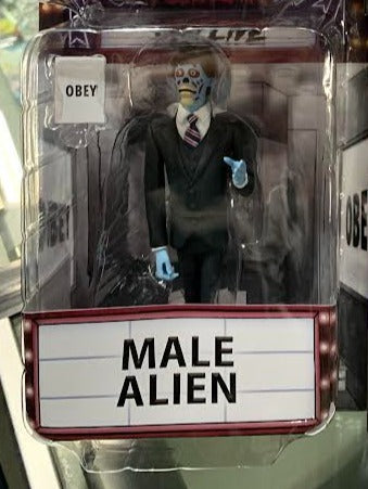 figure on display in box